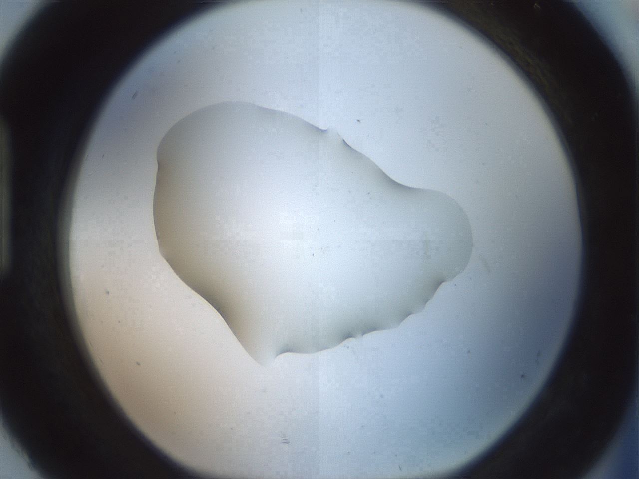 folderID58_plateID2058_batchID9027_wellNum92_profileID1_d1_r139090_ef.jpg