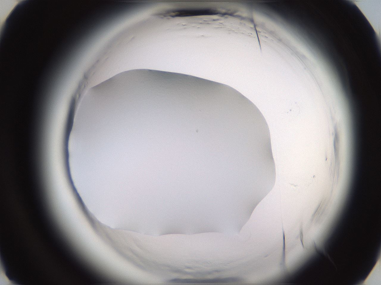 folderID590_plateID2590_batchID13170_wellNum13_profileID1_d3_r201071_ef.jpg