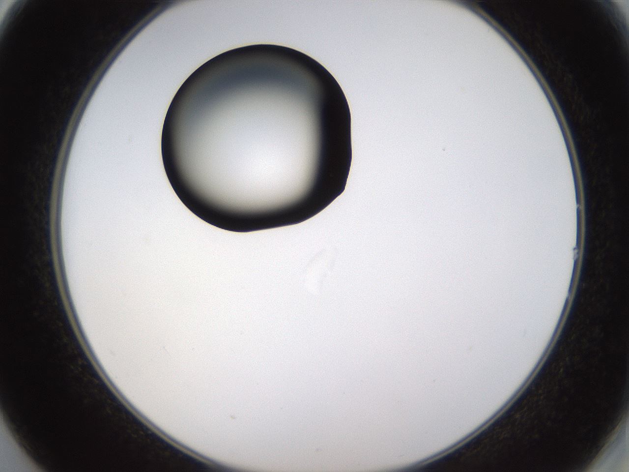 folderID437_plateID1437_batchID5444_wellNum14_profileID1_d2_r89716_ef.jpg