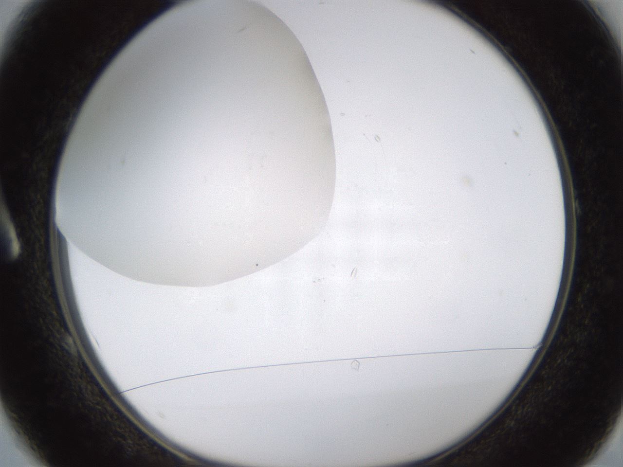 folderID437_plateID1437_batchID5444_wellNum1_profileID1_d1_r89689_ef.jpg