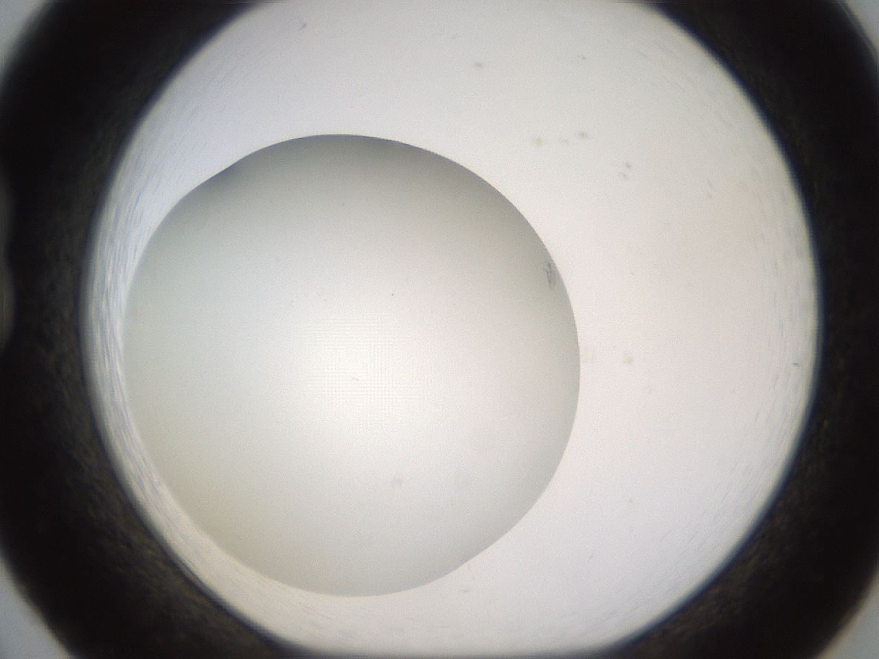 folderID437_plateID1437_batchID5444_wellNum20_profileID1_d1_r89727_ef.jpg