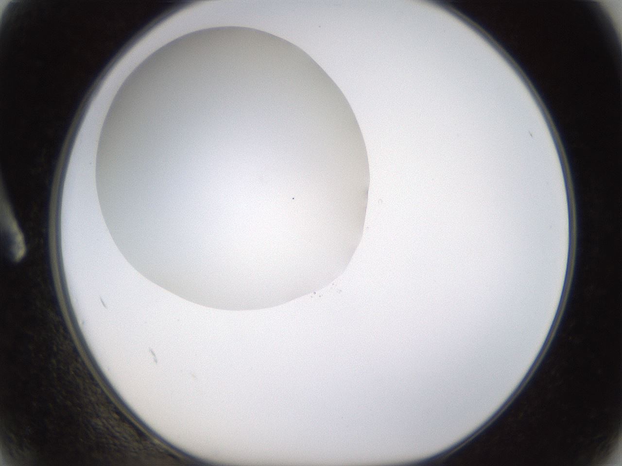 folderID437_plateID1437_batchID5444_wellNum2_profileID1_d1_r89691_ef.jpg