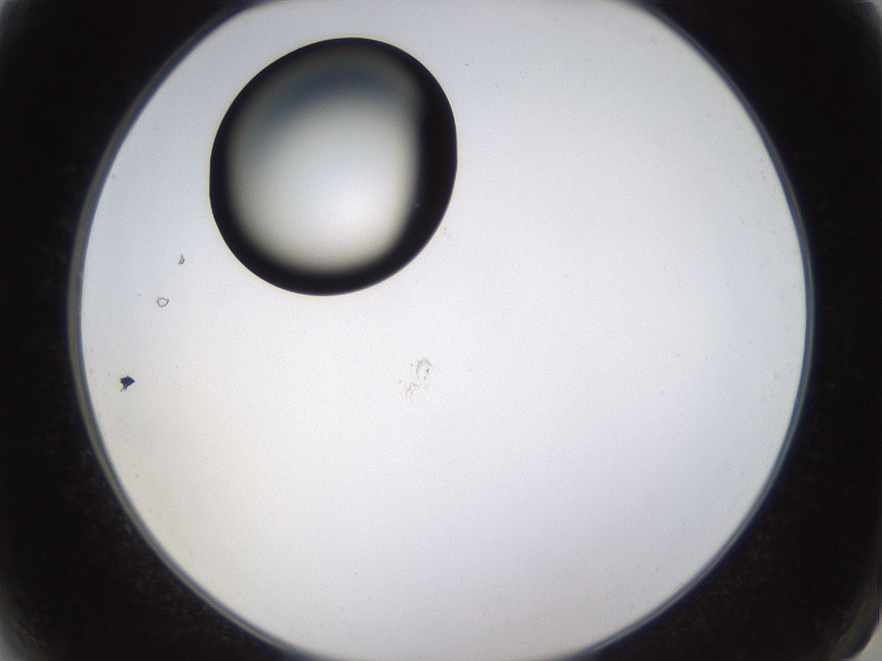 folderID437_plateID1437_batchID5444_wellNum2_profileID1_d2_r89692_ef.jpg