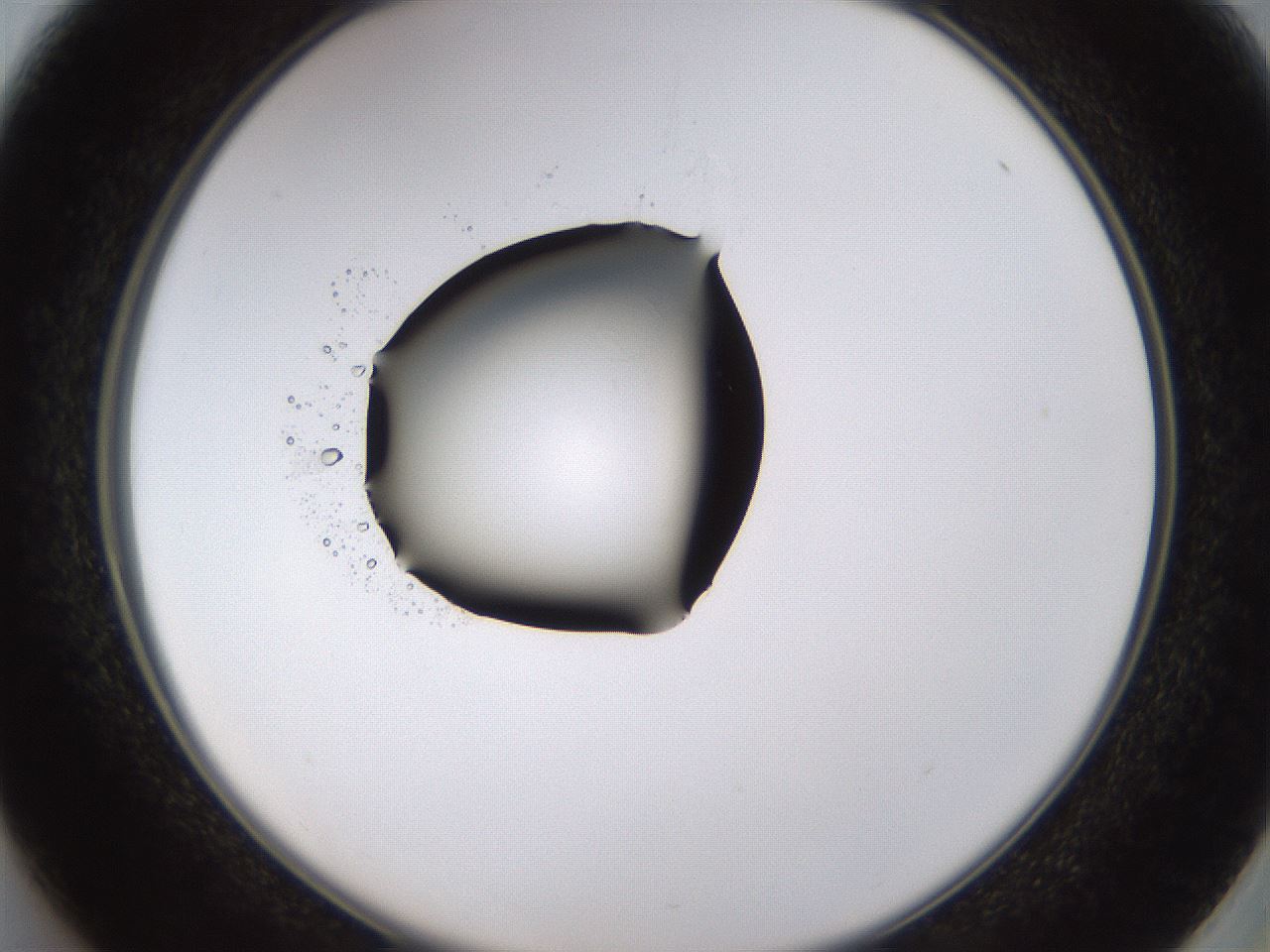 folderID437_plateID1437_batchID5444_wellNum37_profileID1_d2_r89762_ef.jpg
