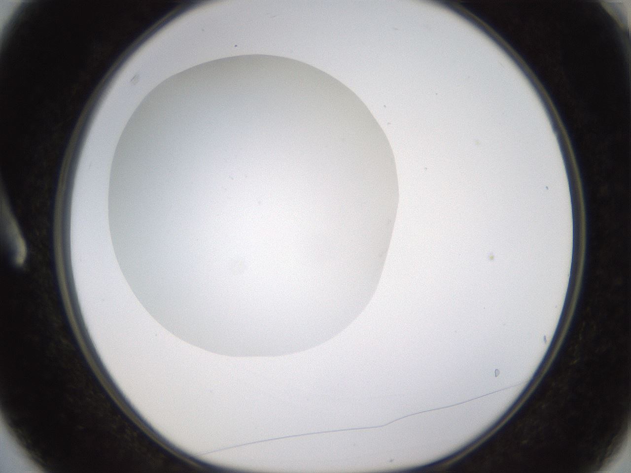 folderID437_plateID1437_batchID5444_wellNum3_profileID1_d1_r89693_ef.jpg