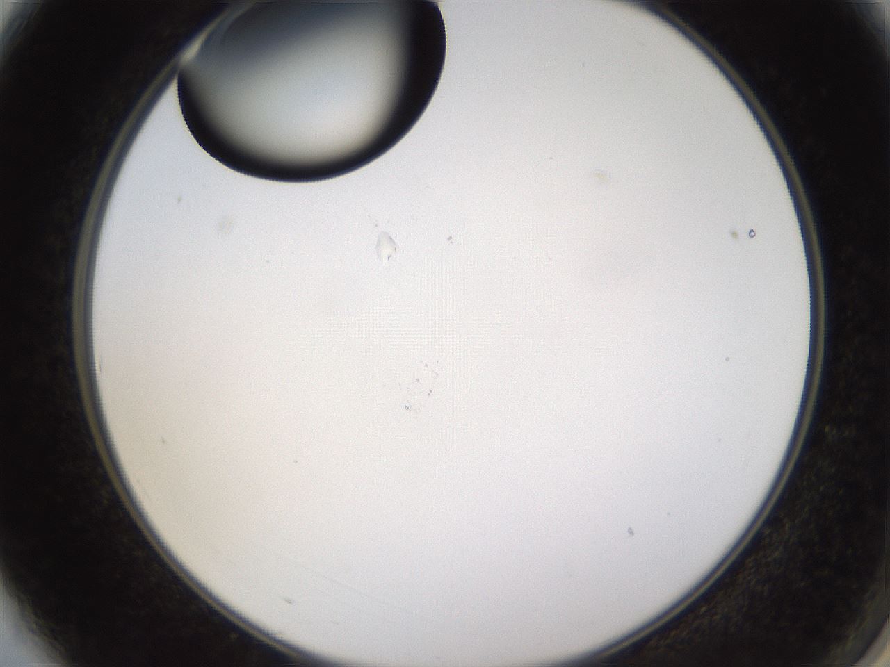 folderID437_plateID1437_batchID5444_wellNum3_profileID1_d2_r89694_ef.jpg