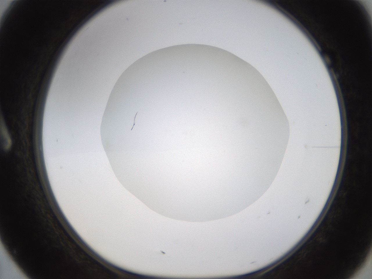 folderID437_plateID1437_batchID5444_wellNum7_profileID1_d1_r89701_ef.jpg
