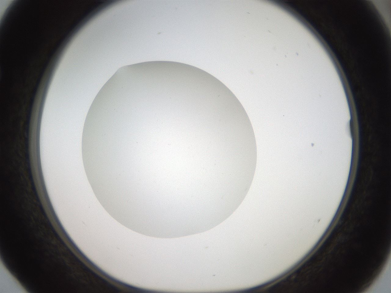 folderID42_plateID2042_batchID9007_wellNum52_profileID1_d1_r137853_ef.jpg