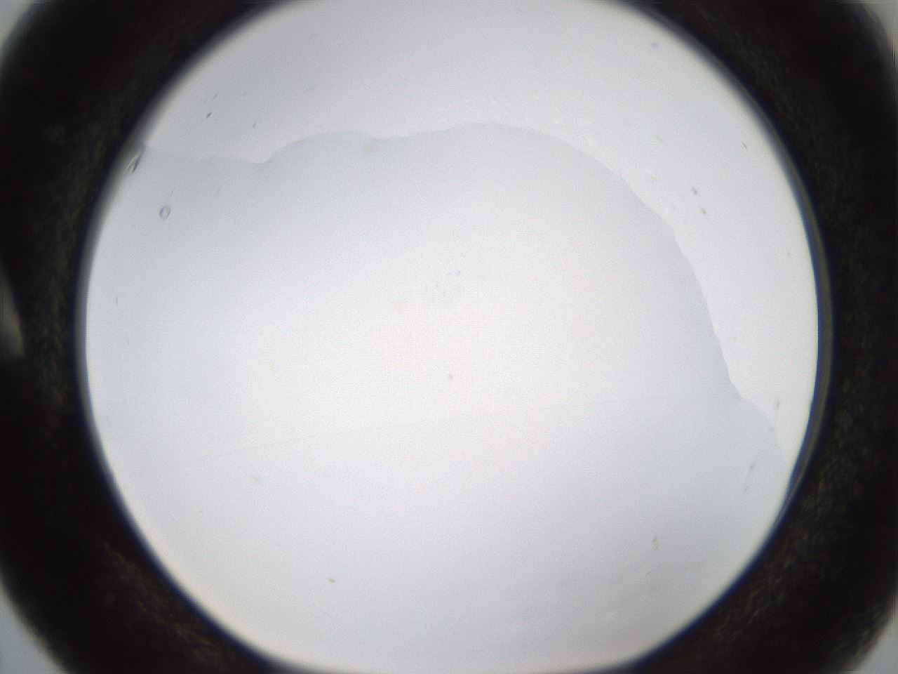 folderID434_plateID1434_batchID5443_wellNum5_profileID1_d1_r89313_ef.jpg