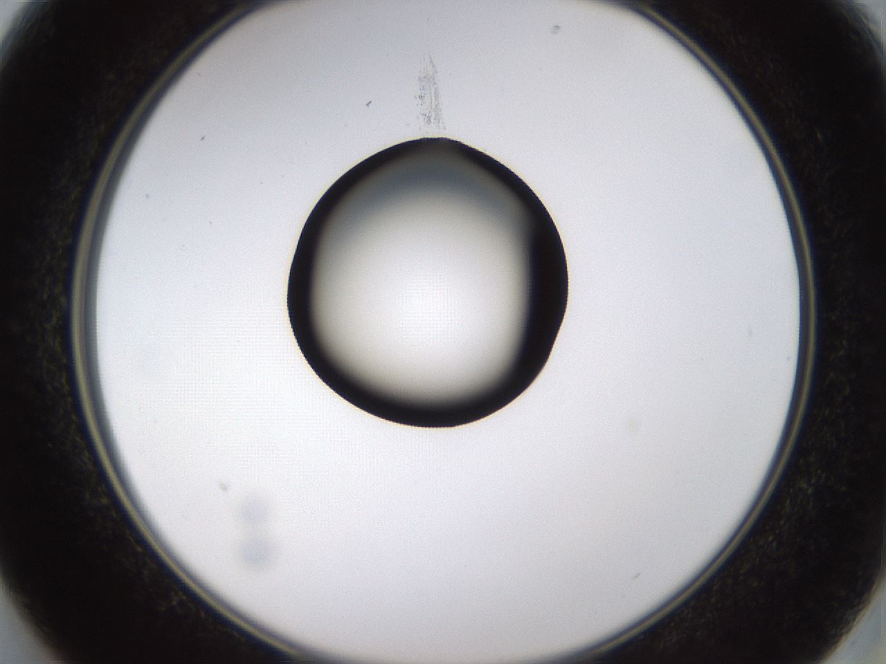 folderID437_plateID1437_batchID5444_wellNum13_profileID1_d2_r89714_ef.jpg