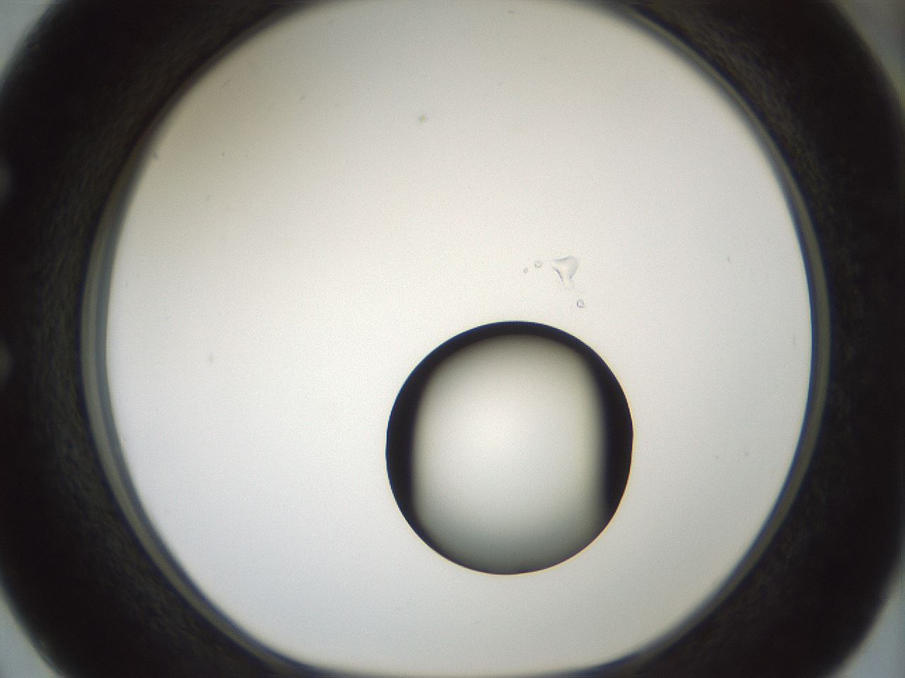 folderID439_plateID1439_batchID5494_wellNum50_profileID1_d1_r90270_ef.jpg