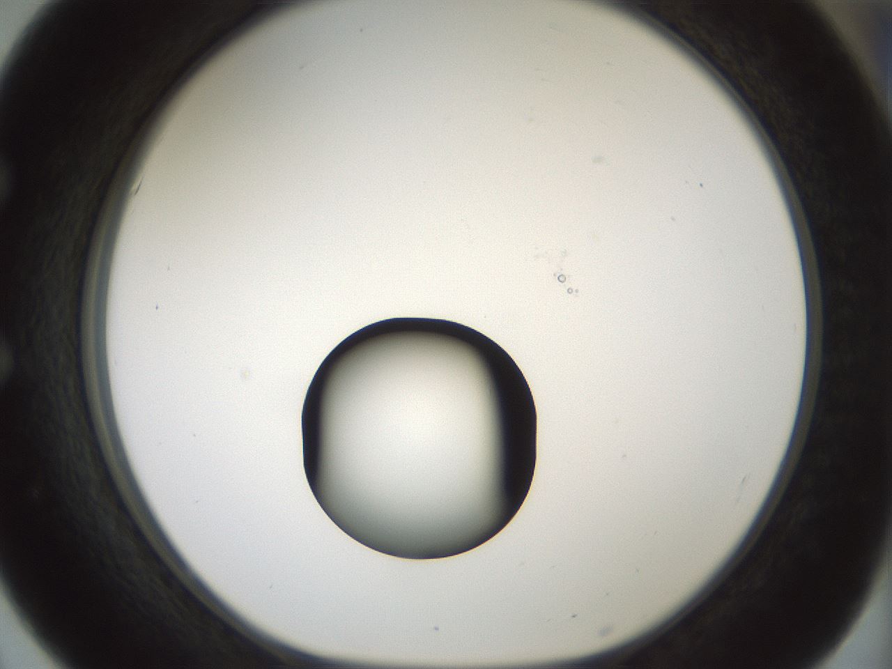 folderID439_plateID1439_batchID5494_wellNum51_profileID1_d1_r90272_ef.jpg