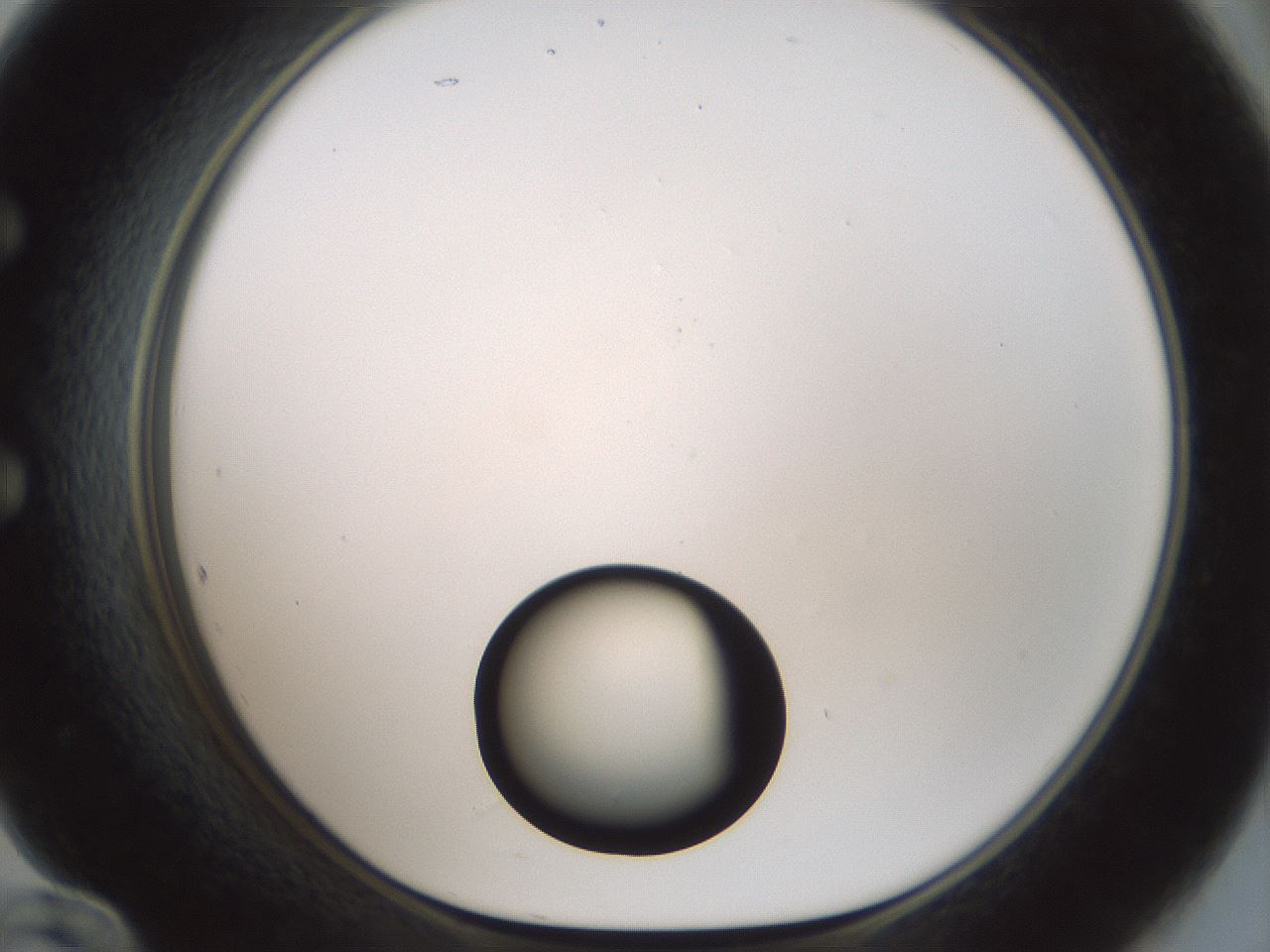 folderID439_plateID1439_batchID5494_wellNum60_profileID1_d1_r90290_ef.jpg