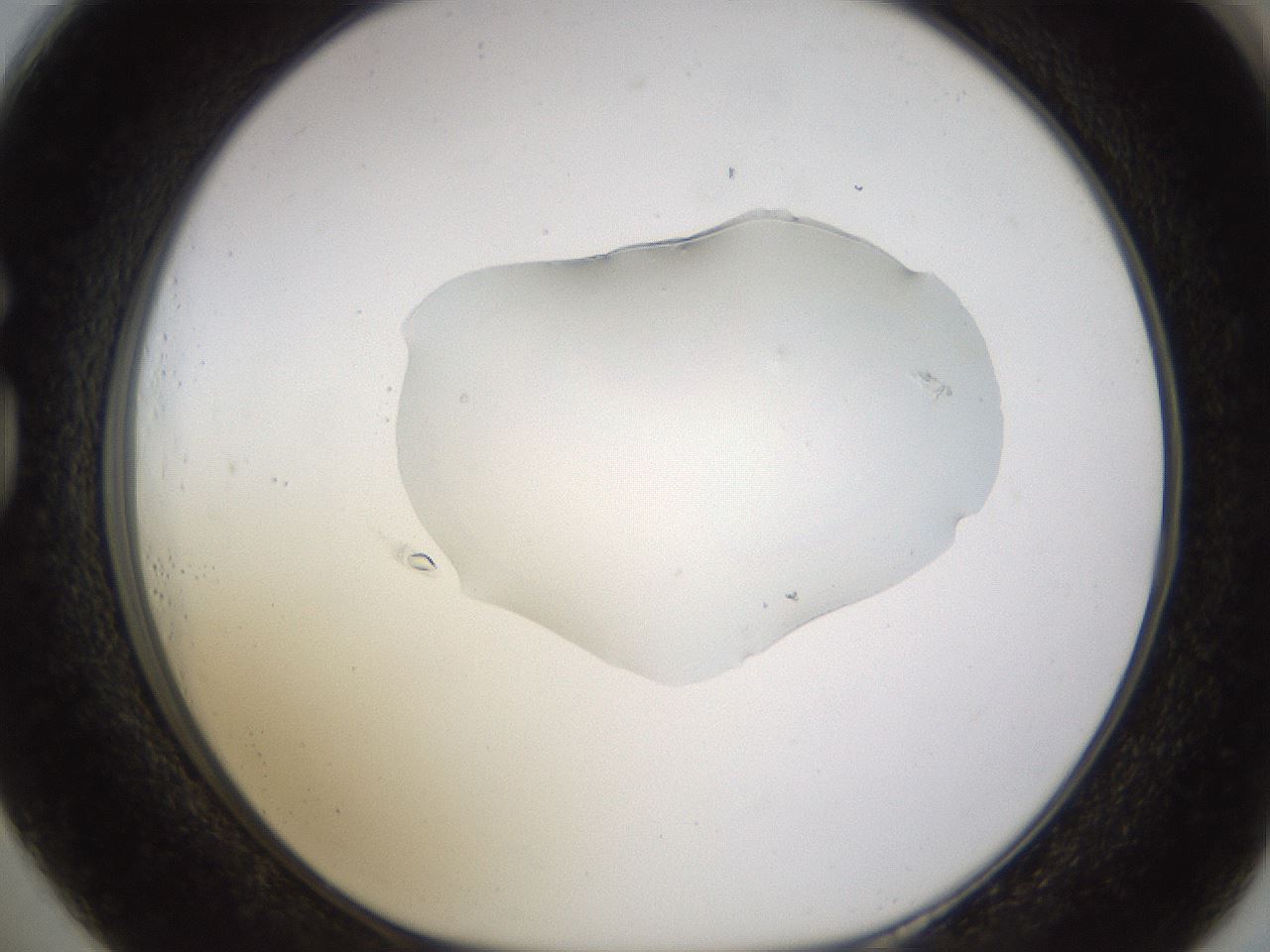 folderID440_plateID1440_batchID5495_wellNum73_profileID1_d1_r90508_ef.jpg
