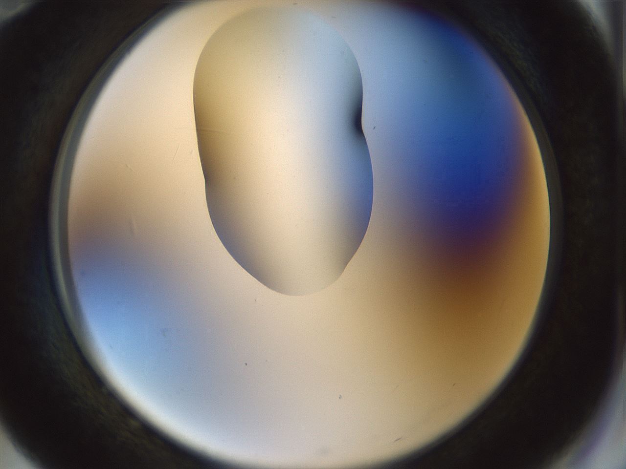 folderID443_plateID1443_batchID5498_wellNum82_profileID1_d2_r91103_ef.jpg