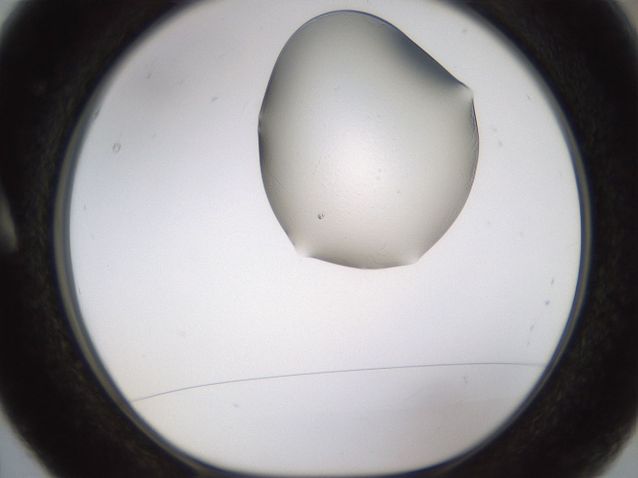 folderID594_plateID1594_batchID6733_wellNum5_profileID1_d1_r106940_ef.jpg