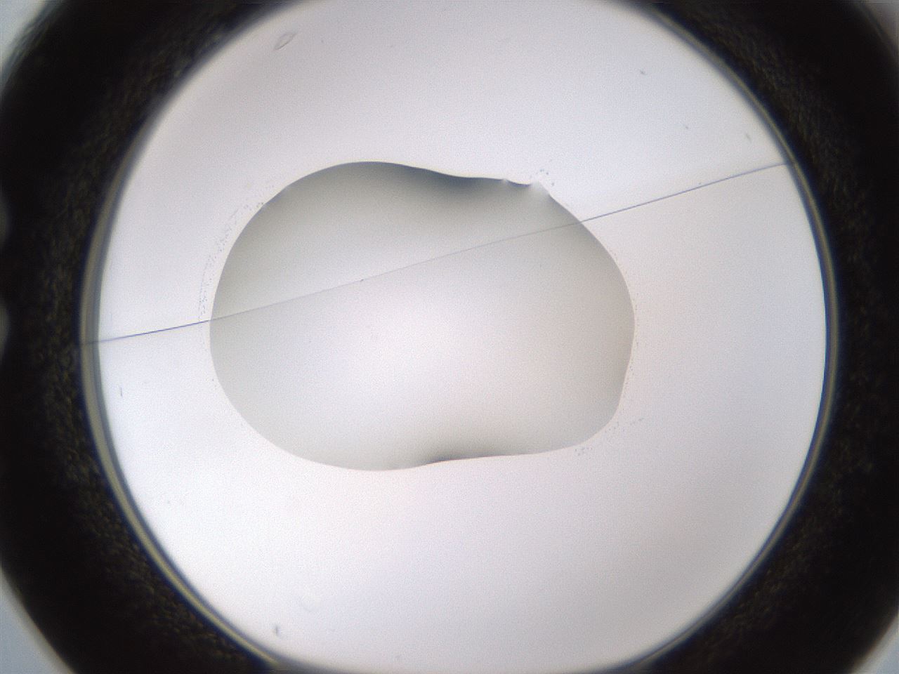 folderID595_plateID1595_batchID6723_wellNum25_profileID1_d1_r105060_ef.jpg
