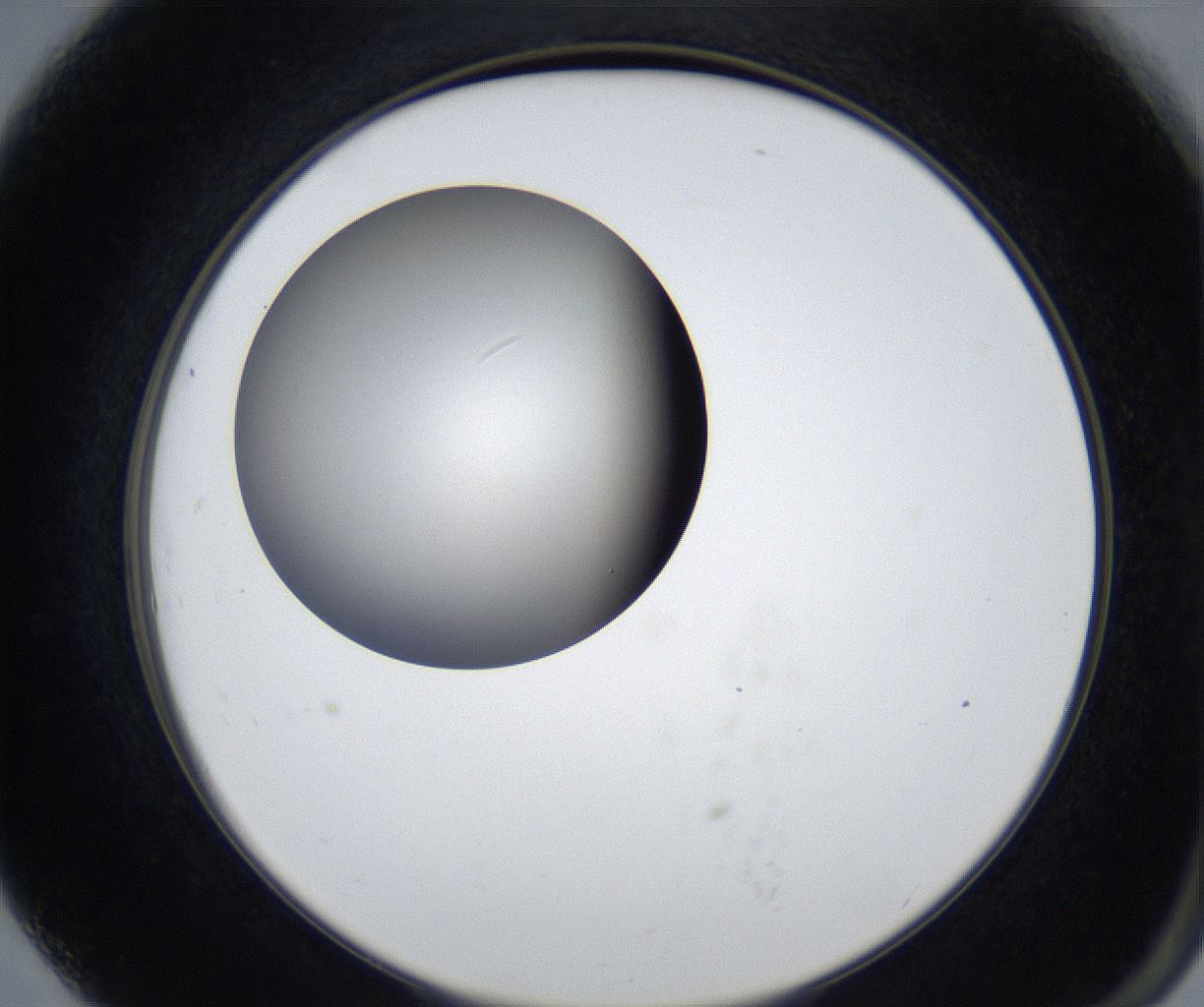 folderID442_plateID2442_batchID11777_wellNum79_profileID1_d2_r181821_ef.jpg