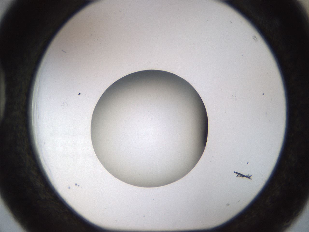 folderID448_plateID1448_batchID5525_wellNum39_profileID1_d1_r91746_ef.jpg