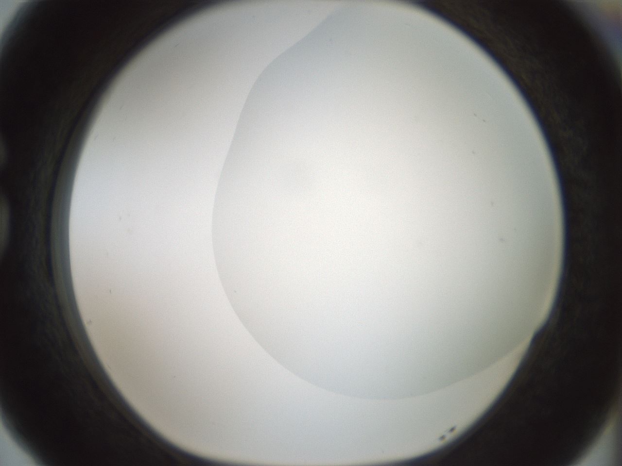 folderID185_plateID1185_batchID3371_wellNum77_profileID1_d1_r66059_ef.jpg