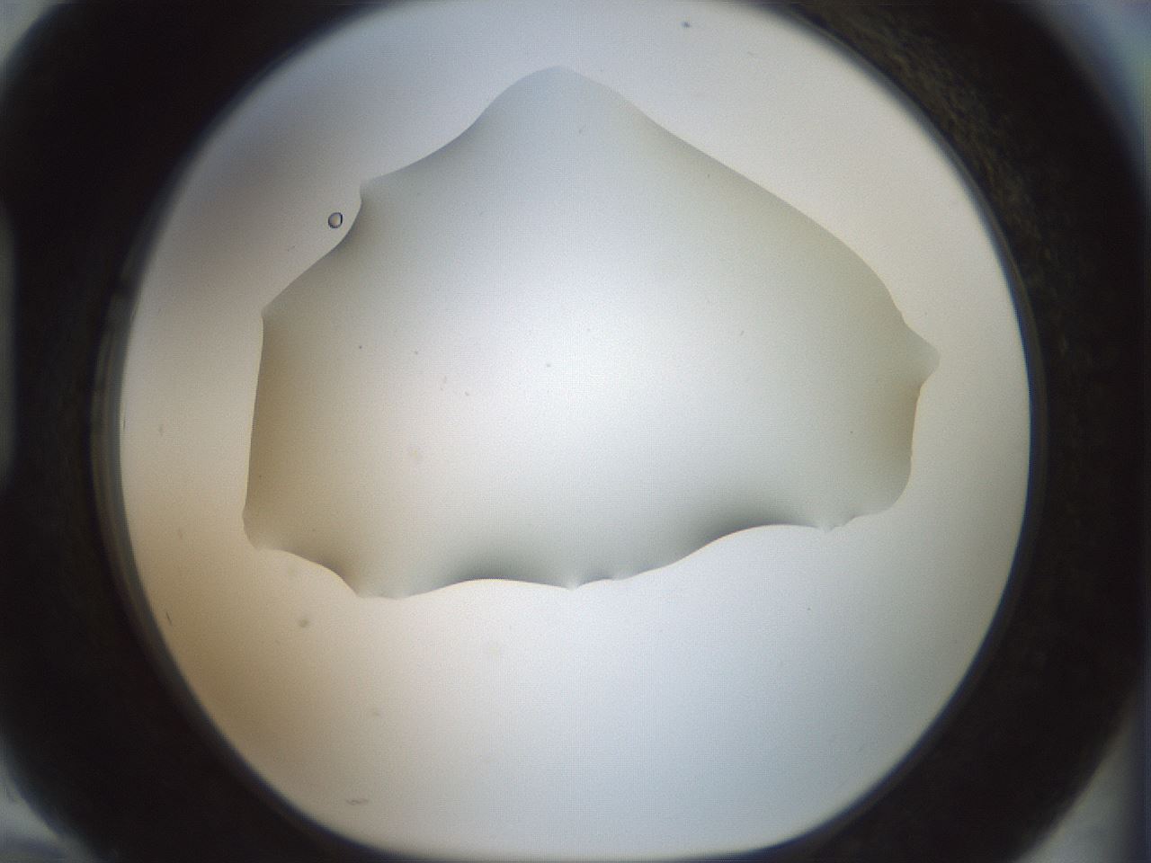 folderID185_plateID1185_batchID3371_wellNum94_profileID1_d1_r66076_ef.jpg