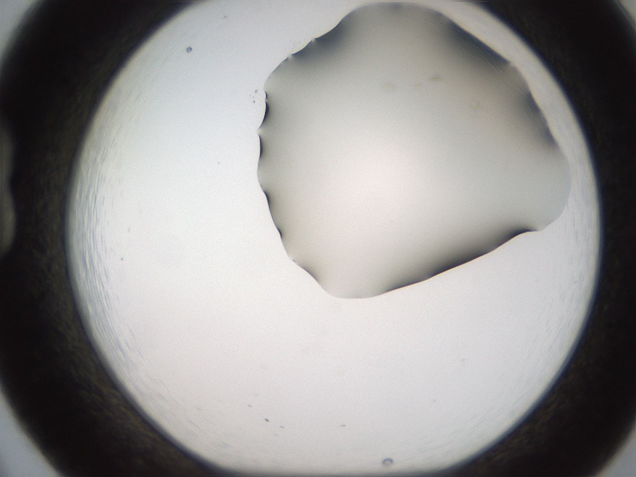 folderID185_plateID2185_batchID9951_wellNum20_profileID1_d1_r147850_ef.jpg