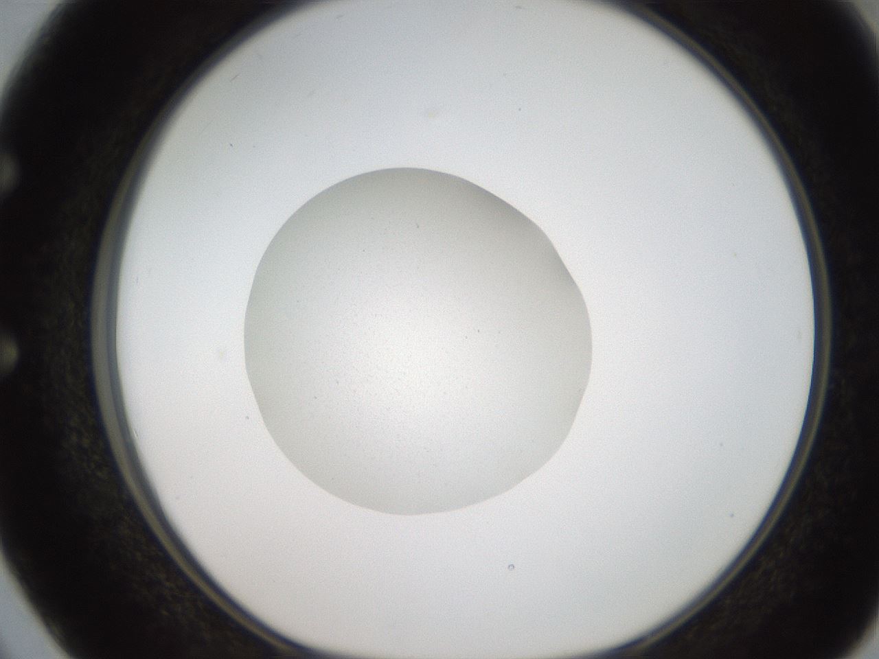 folderID185_plateID2185_batchID9951_wellNum50_profileID1_d1_r147880_ef.jpg