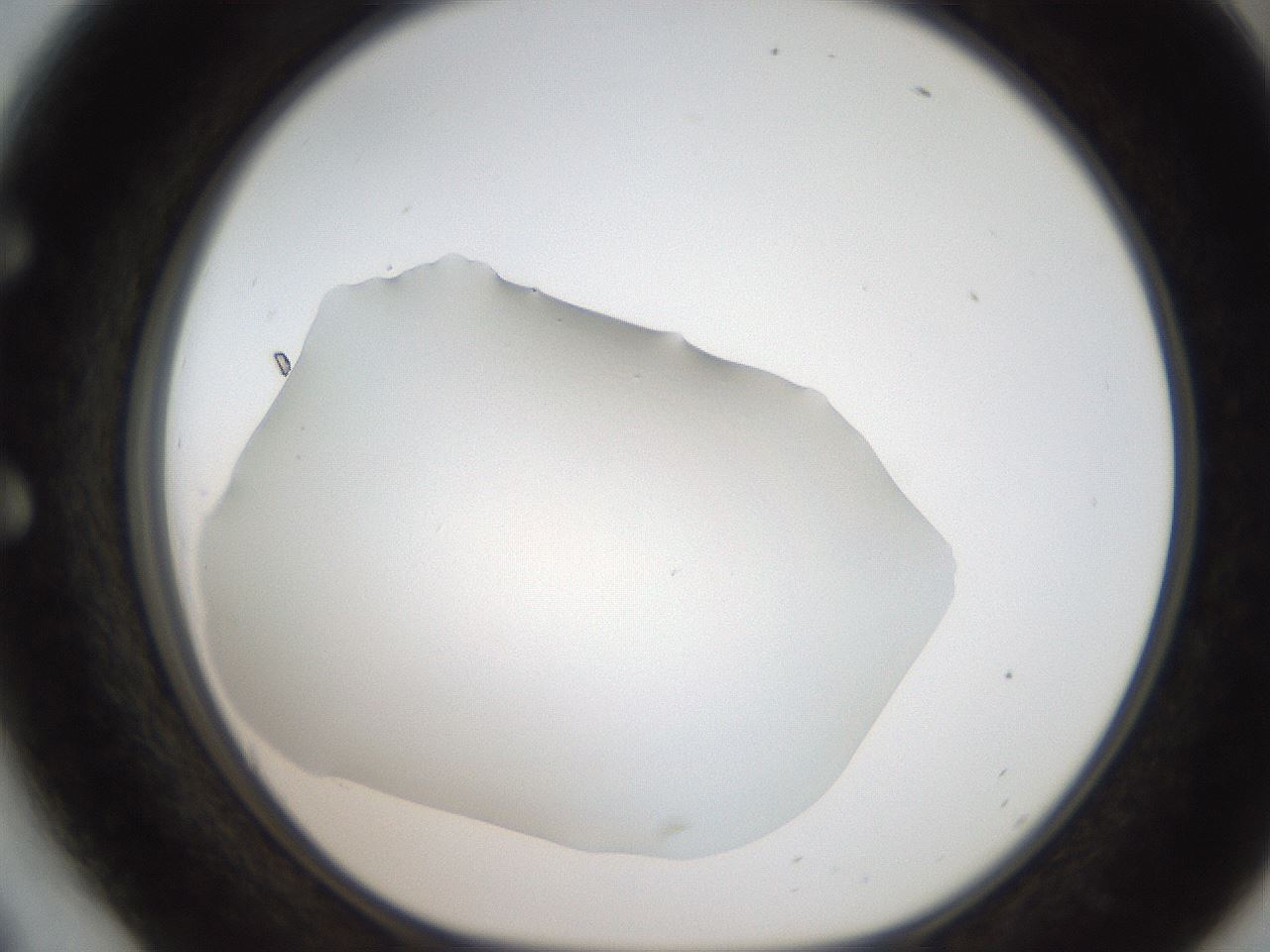 folderID185_plateID2185_batchID9951_wellNum54_profileID1_d1_r147884_ef.jpg