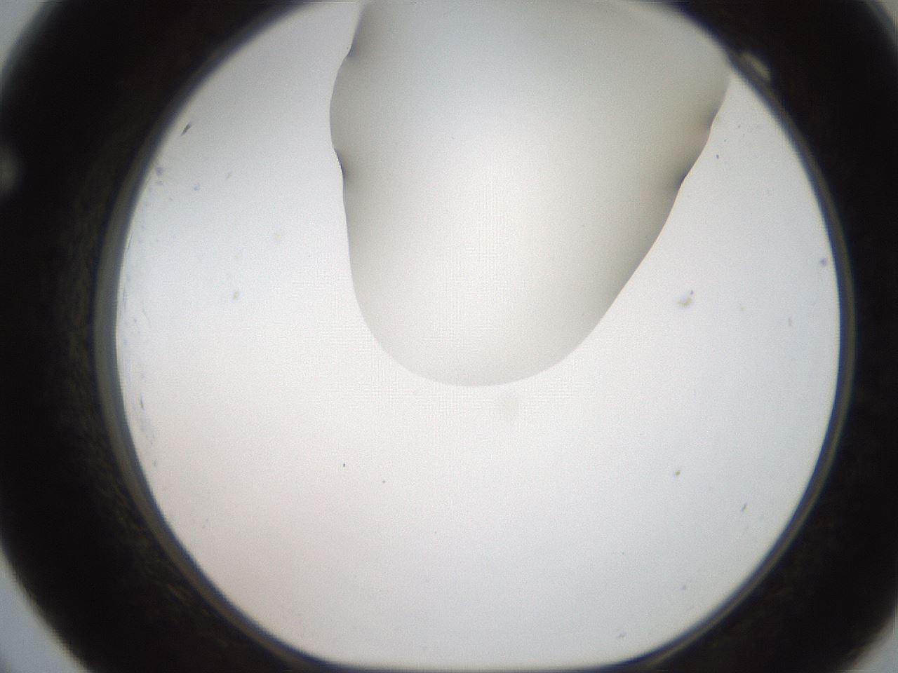 folderID185_plateID2185_batchID9951_wellNum69_profileID1_d1_r147899_ef.jpg