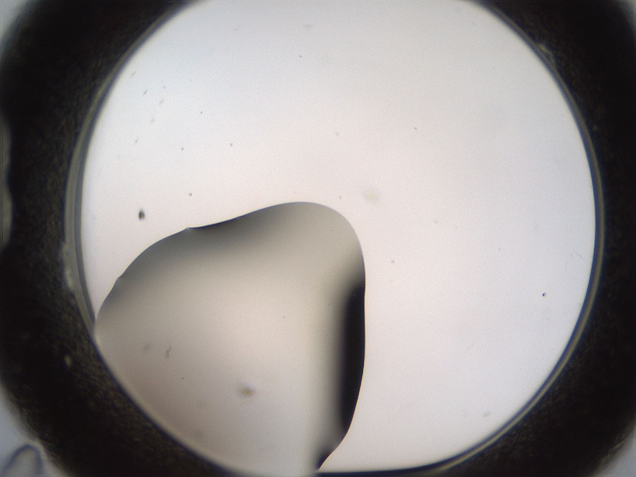 folderID185_plateID2185_batchID9951_wellNum23_profileID1_d1_r147853_ef.jpg