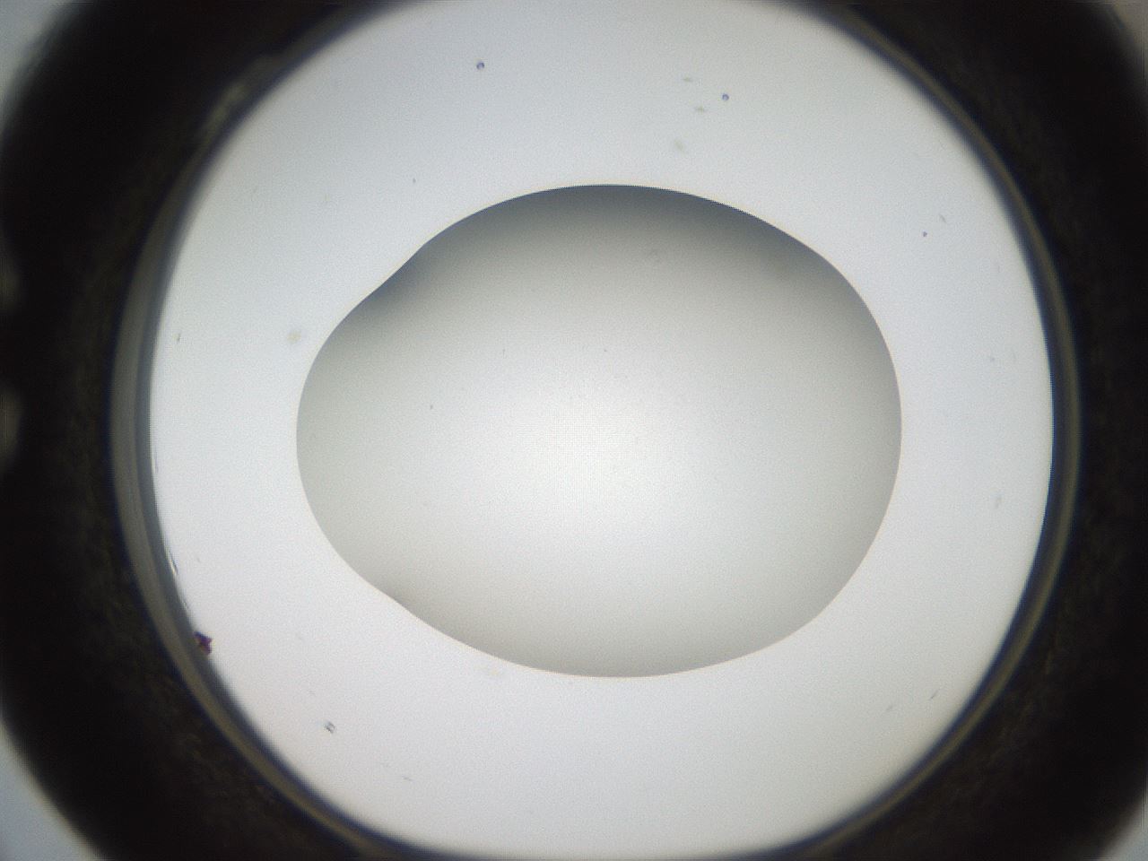 folderID185_plateID2185_batchID9951_wellNum28_profileID1_d1_r147858_ef.jpg
