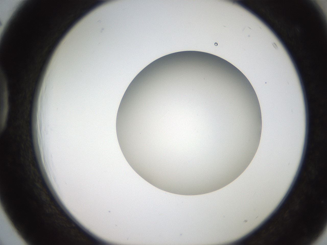 folderID185_plateID2185_batchID9951_wellNum39_profileID1_d1_r147869_ef.jpg