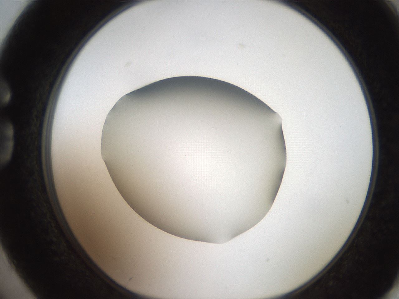folderID185_plateID2185_batchID9951_wellNum74_profileID1_d1_r147904_ef.jpg