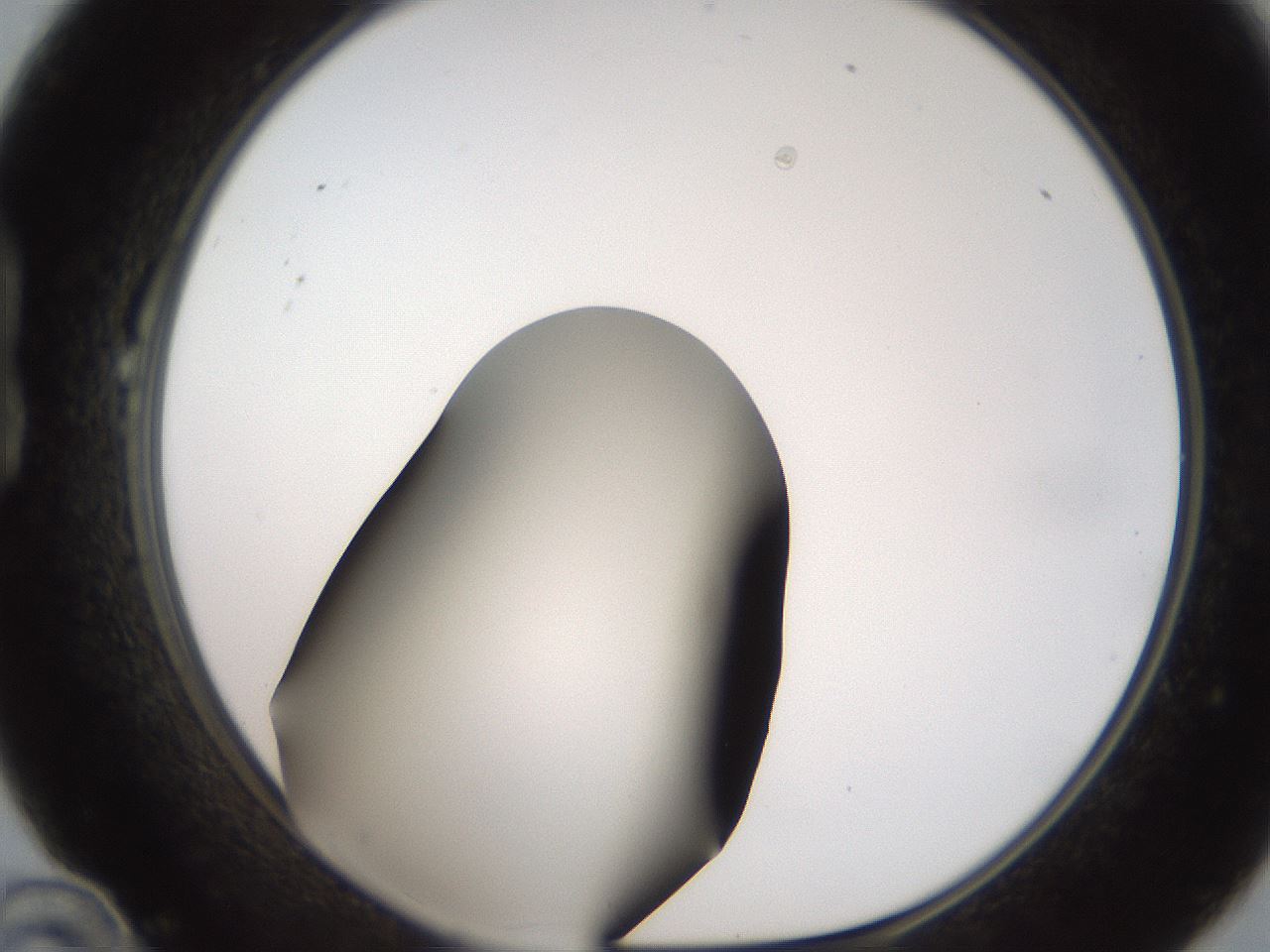 folderID185_plateID2185_batchID9951_wellNum22_profileID1_d1_r147852_ef.jpg