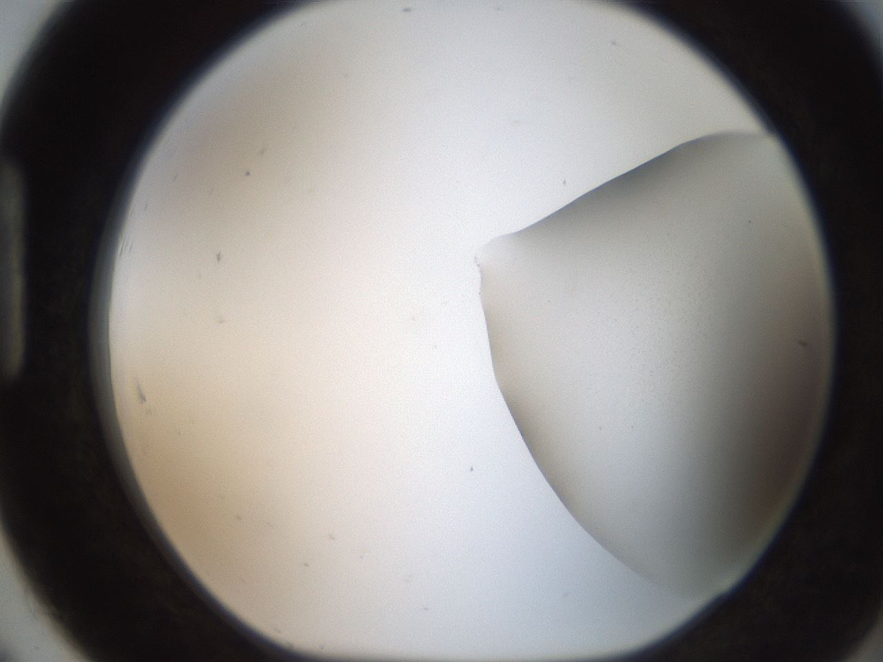 folderID185_plateID2185_batchID9951_wellNum91_profileID1_d1_r147921_ef.jpg