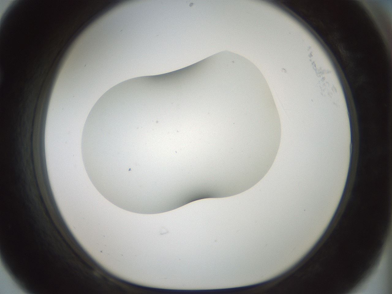 folderID186_plateID1186_batchID3358_wellNum68_profileID1_d1_r65186_ef.jpg