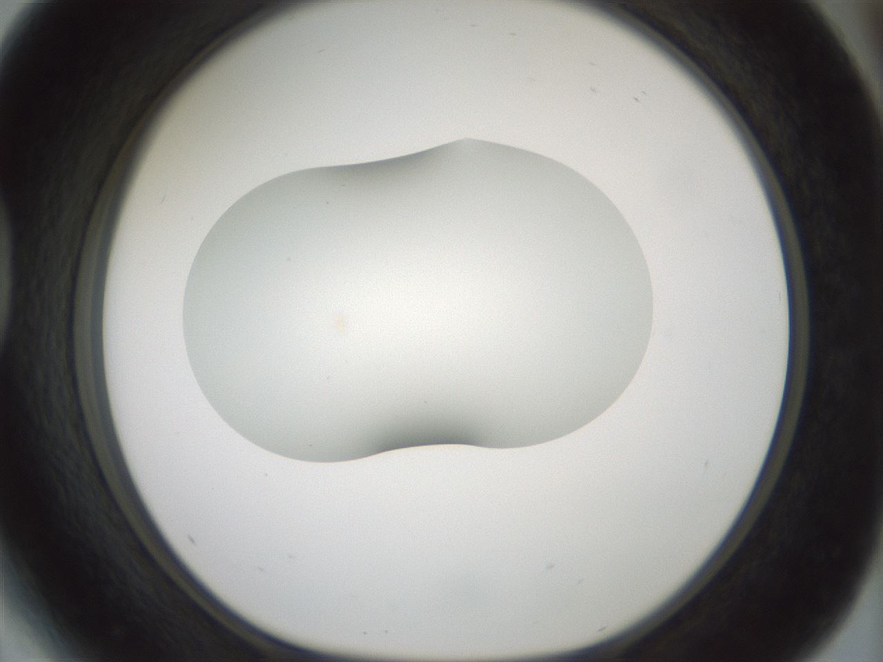 folderID186_plateID1186_batchID3358_wellNum41_profileID1_d1_r65159_ef.jpg