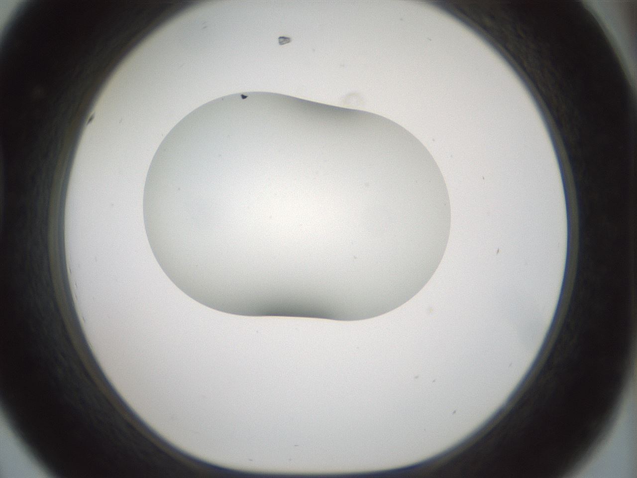 folderID186_plateID1186_batchID3358_wellNum44_profileID1_d1_r65162_ef.jpg