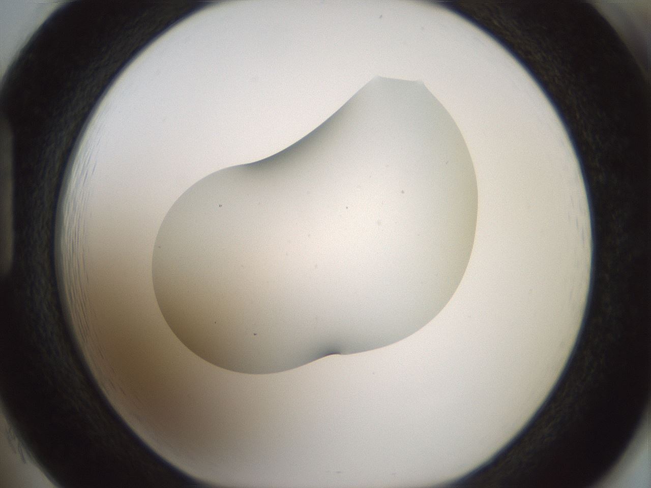 folderID186_plateID1186_batchID3358_wellNum85_profileID1_d1_r65203_ef.jpg