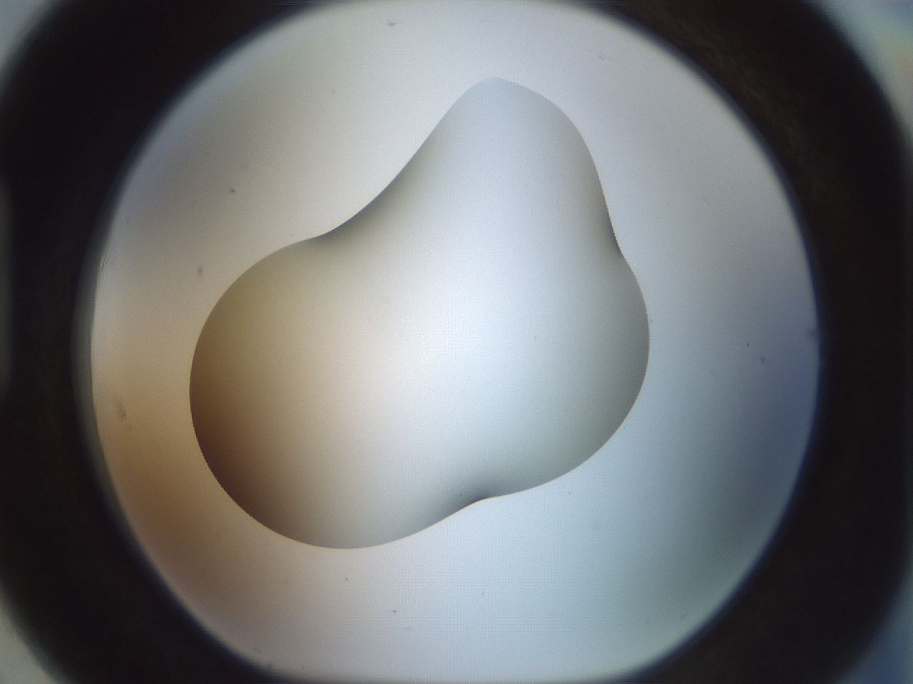 folderID186_plateID1186_batchID3358_wellNum91_profileID1_d1_r65209_ef.jpg