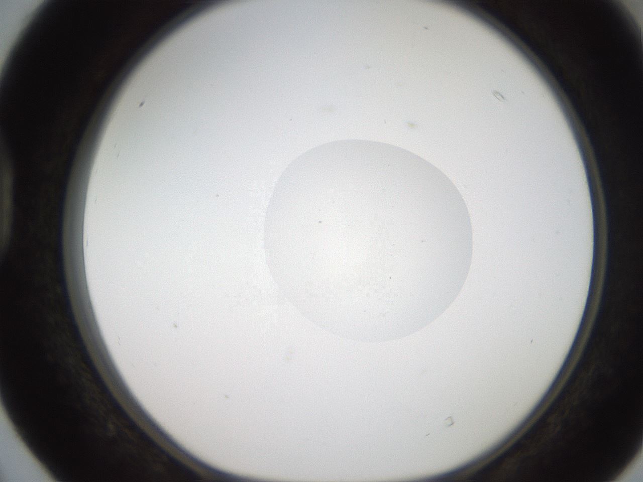 folderID186_plateID2186_batchID9957_wellNum40_profileID1_d1_r148446_ef.jpg