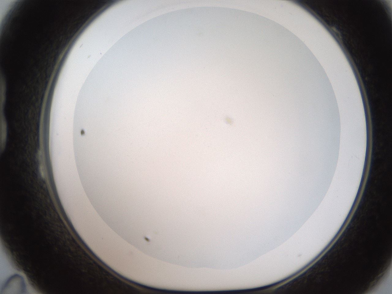 folderID186_plateID2186_batchID9957_wellNum23_profileID1_d1_r148429_ef.jpg