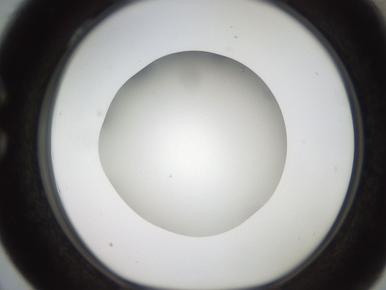 folderID186_plateID2186_batchID9957_wellNum28_profileID1_d1_r148434_ef.jpg