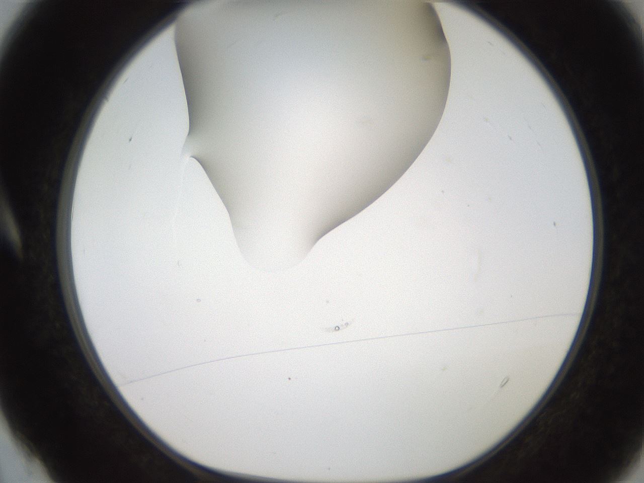 folderID186_plateID2186_batchID9957_wellNum4_profileID1_d1_r148410_ef.jpg