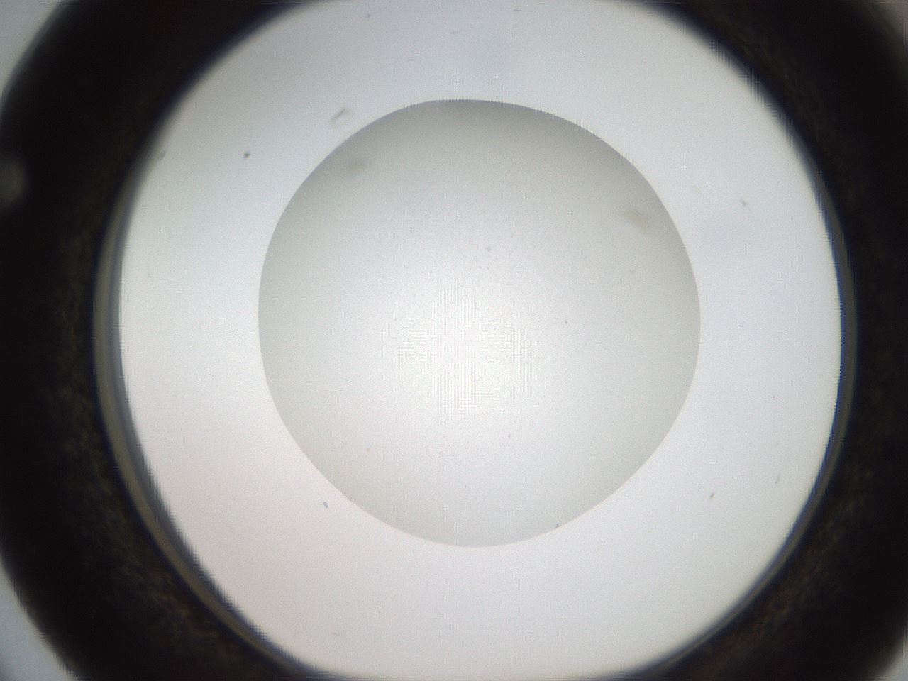 folderID186_plateID2186_batchID9957_wellNum63_profileID1_d1_r148469_ef.jpg