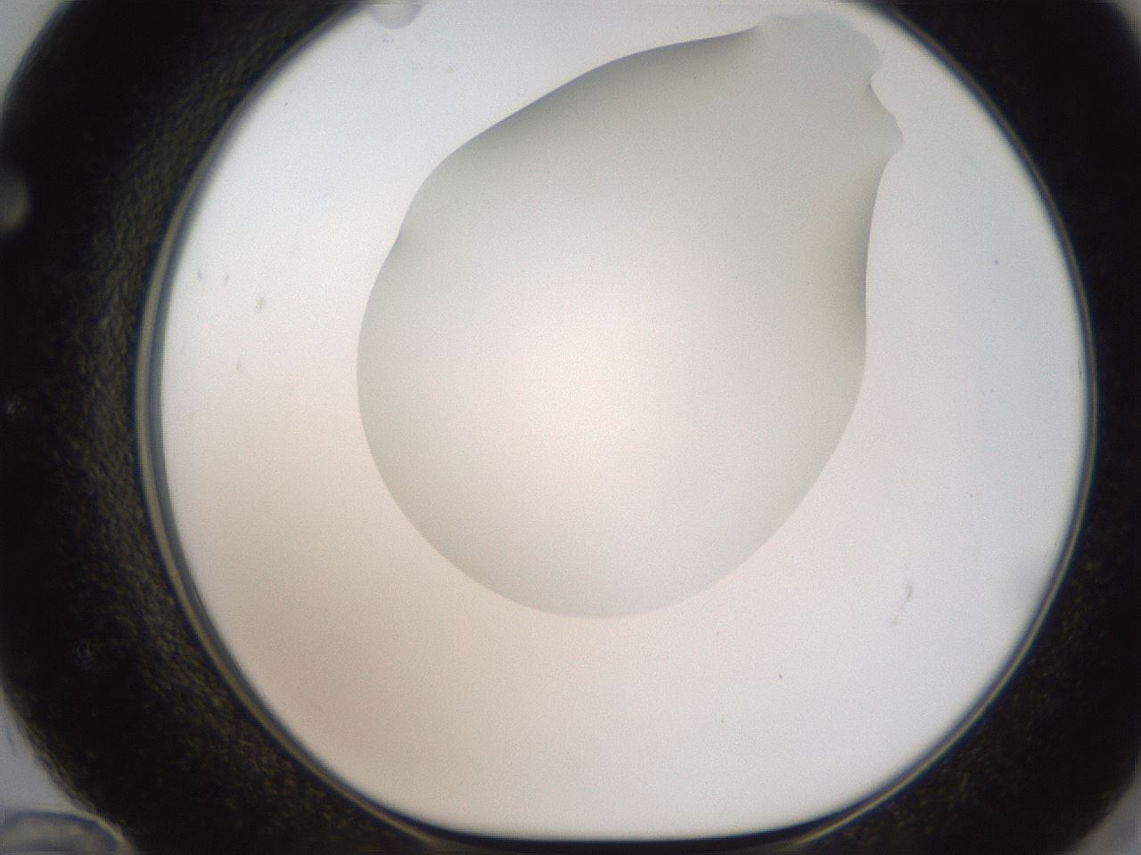 folderID186_plateID2186_batchID9957_wellNum72_profileID1_d1_r148478_ef.jpg