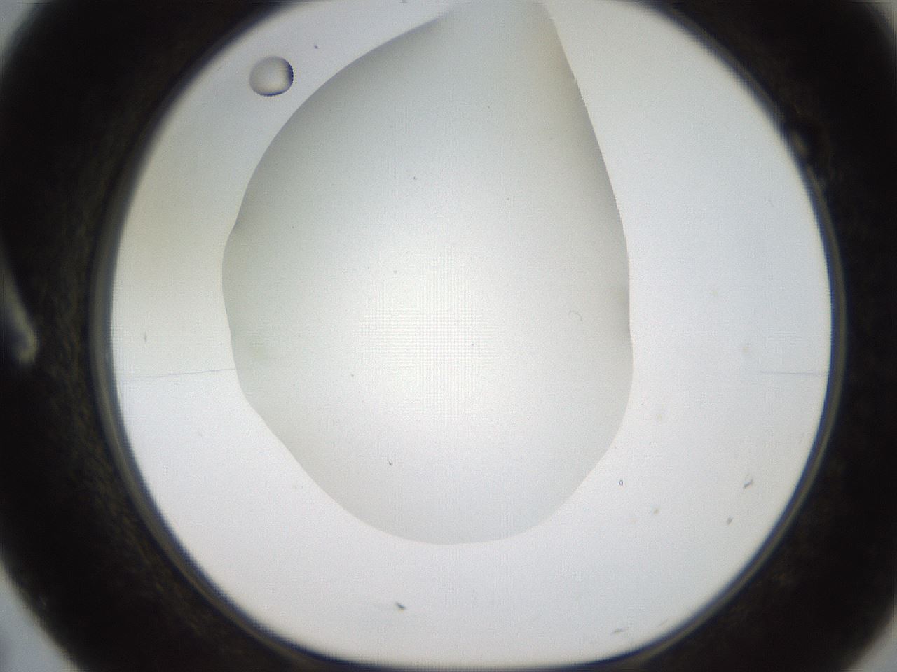 folderID186_plateID2186_batchID9957_wellNum7_profileID1_d1_r148413_ef.jpg