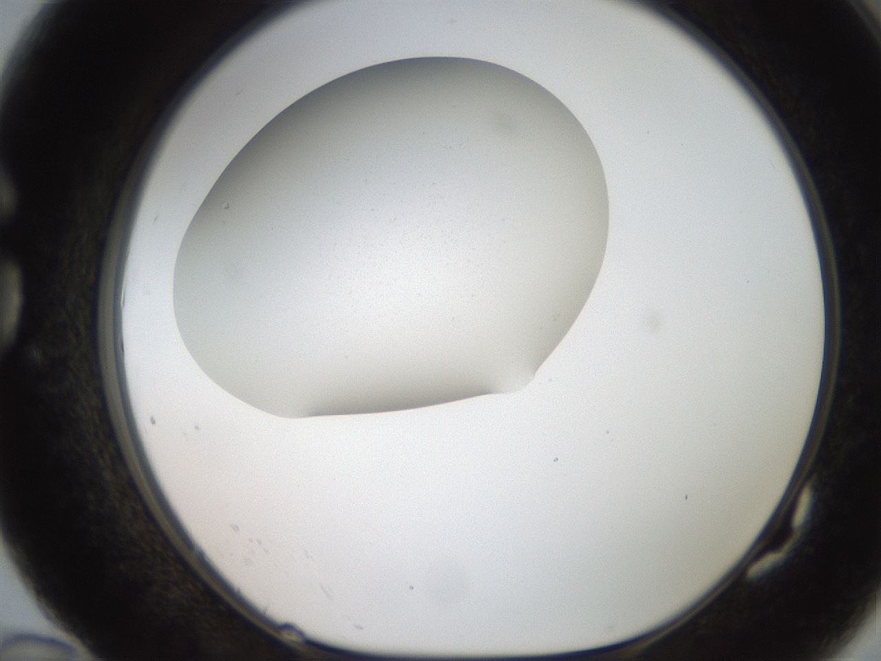 folderID186_plateID2186_batchID9957_wellNum82_profileID1_d1_r148488_ef.jpg