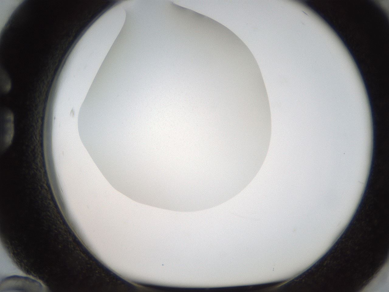 folderID186_plateID2186_batchID9957_wellNum84_profileID1_d1_r148490_ef.jpg