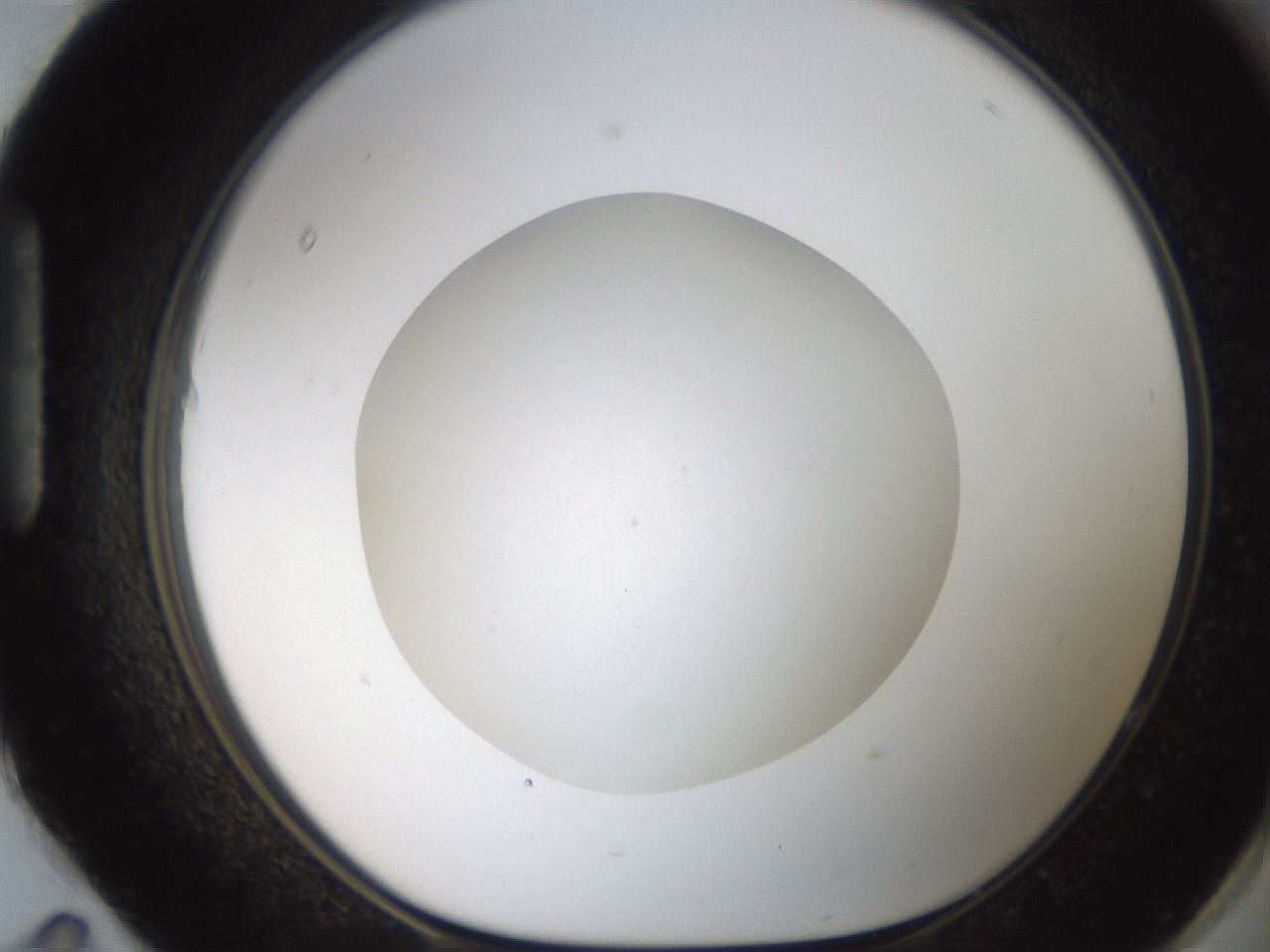 folderID186_plateID2186_batchID9957_wellNum95_profileID1_d1_r148501_ef.jpg